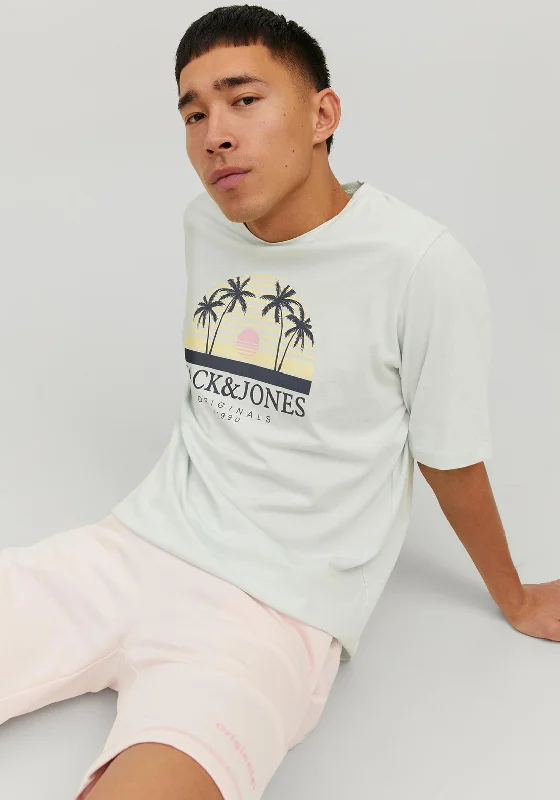 Jack & Jones Cody Summer T-Shirt, Pale Blue